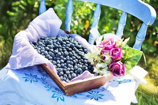 Critères de choix pour baskets USA : Guide d'achat