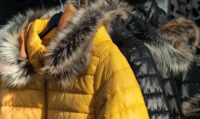 Tenues chaudes pour l'hiver : Guide d'achat complet